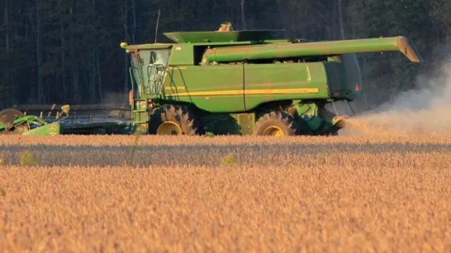 Producción de soja podría reducirse en 2019