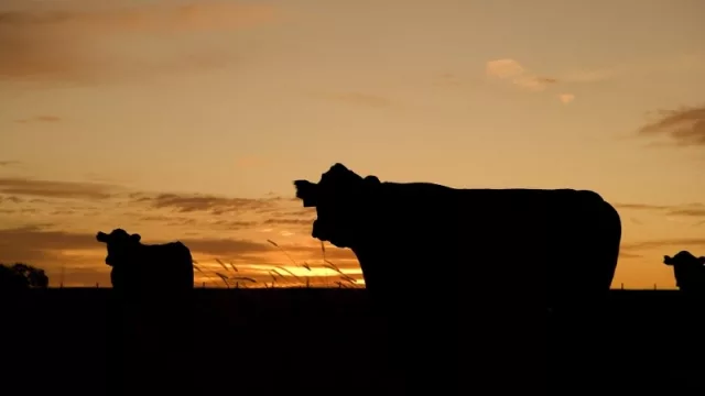 Una lectura rural: lo más destacado en 2018