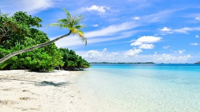 Así es el comportamiento de los turistas paraguayos en esta época