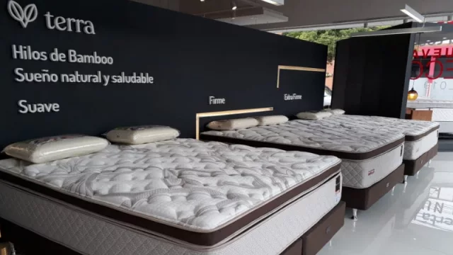 Si existe algo en lo que tenés que invertir es un buen sommier