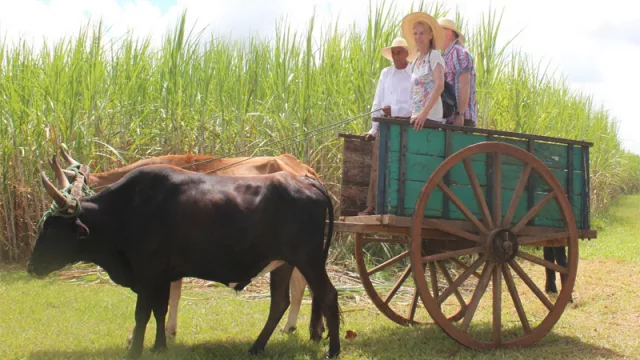 Ph: visitparaguay.travel