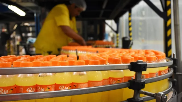 Visitamos Pulp, una planta con capacidad de producción de 6.000 hectolitros diarios