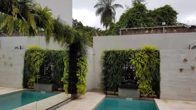 Toque natural: los jardines verticales se pusieron de moda