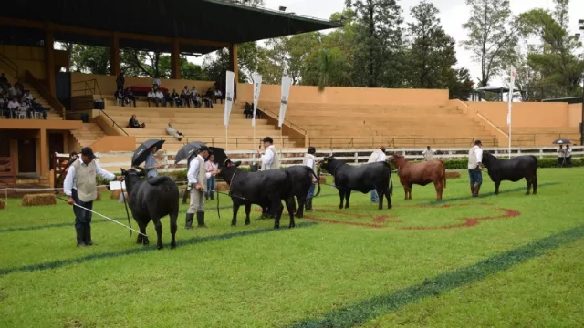 Nacional Brangus de Primavera logró más de G. 2 mil millones en negocios