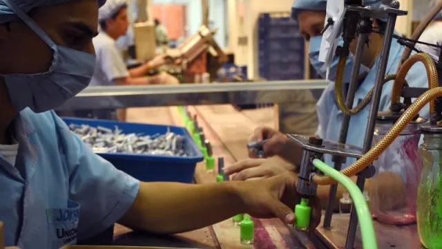 Ph: Natalia Ferreira