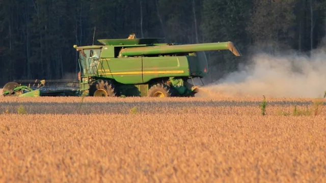 Cosecha de soja 2019 espera llegar a 11 millones de toneladas