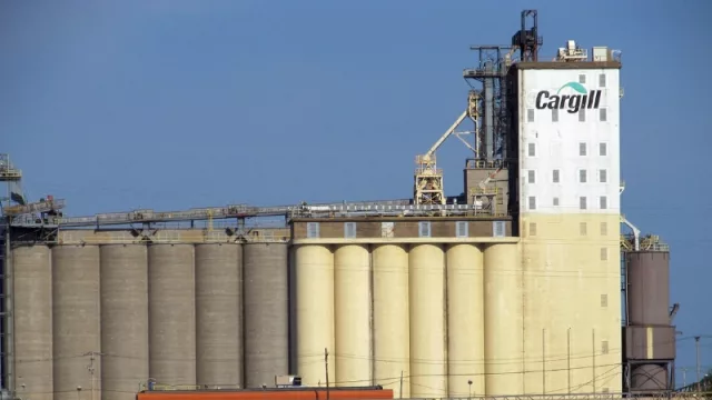 A pesar de la caída de la soja, el procesamiento de oleaginosas crece 2,7%