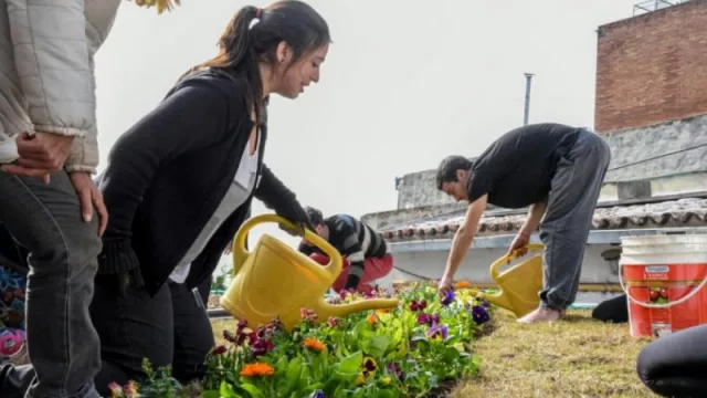 El 70% de los inmuebles de la ciudad de Córdoba podría tener techos verdes