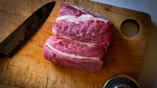 Esperando el sí: técnicos rusos verificarán plantas frigoríficas