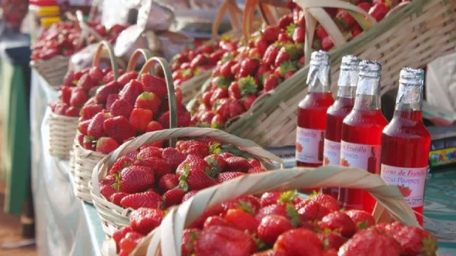 Dulce oportunidad de negocios, desde este viernes en Areguá