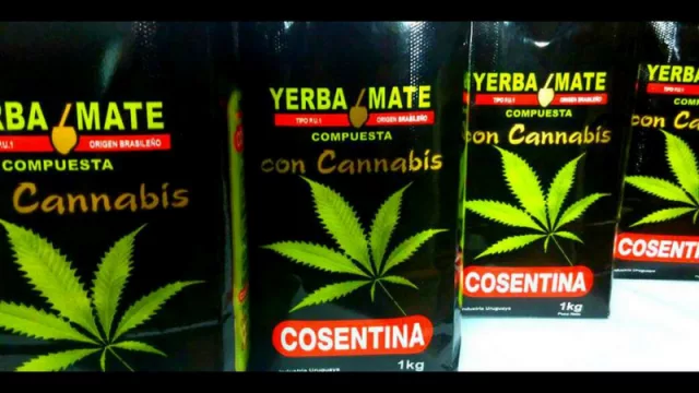 Cosentina, La Abuelita y demás yerbas uruguayas con cáñamo agregado