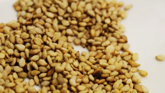 En alza: registran significativo repunte en la cosecha de sésamo