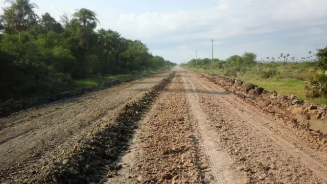 “La ruta de la leche” podría impulsar el crecimiento de la industria chaqueña
