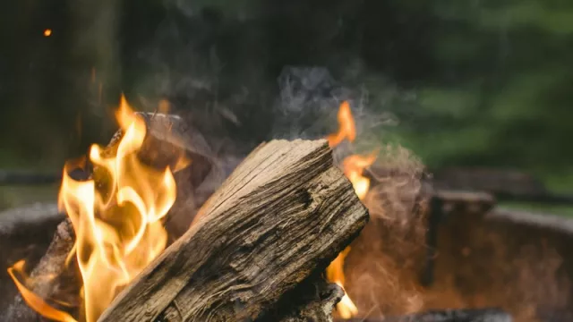 Llega Tata, la feria de cocina al aire libre para compartir en familia