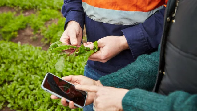 La aplicación BoosterAgro ya cubre 17 millones de hectáreas