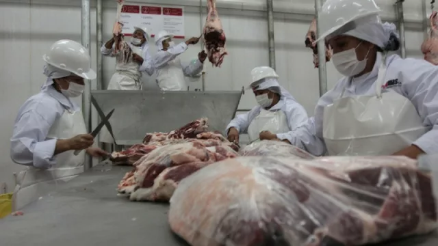 Bajo la lupa: caso de ingreso irregular de carne tiene más protagonistas involucrados
