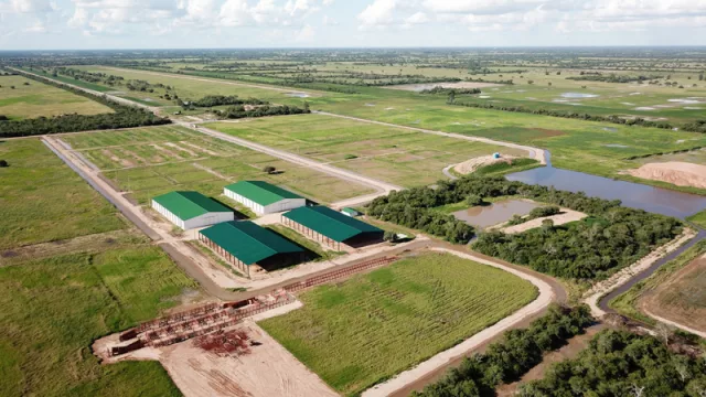 Cuenta regresiva para el inicio de la Expo Pioneros