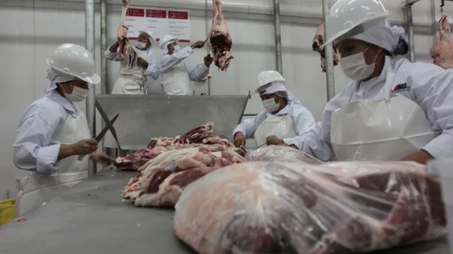 Frigoríficos reciben el visto bueno del gobierno chileno