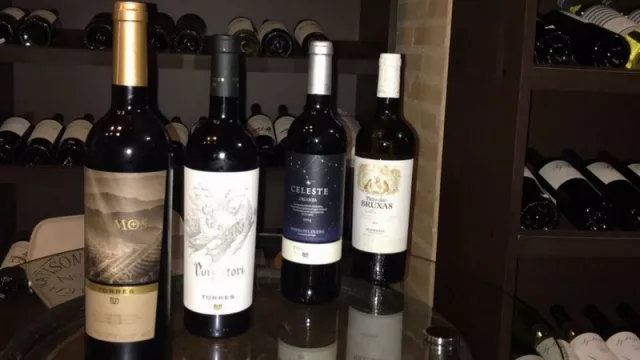 Los productos de la bodega son importados y comercializados por A.C Importaciones S.A.