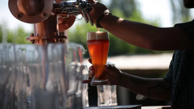 Patagonia llevó a uruguayos a vivir el ritual de la cosecha de lúpulo