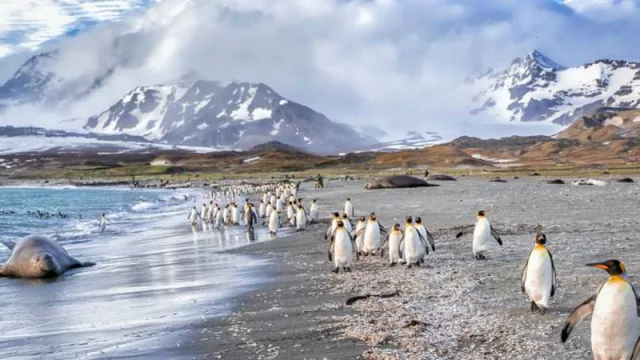 Cancillería llama a compañías aéreas de Uruguay a cubrir vuelos civiles hacia las Malvinas