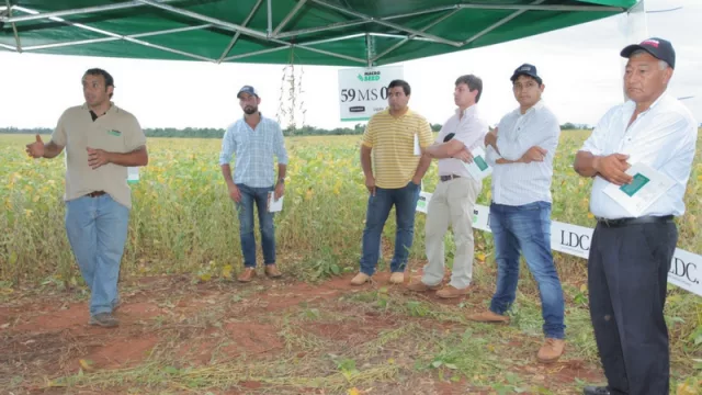 Macro Seed presentó su nueva variedades de soja