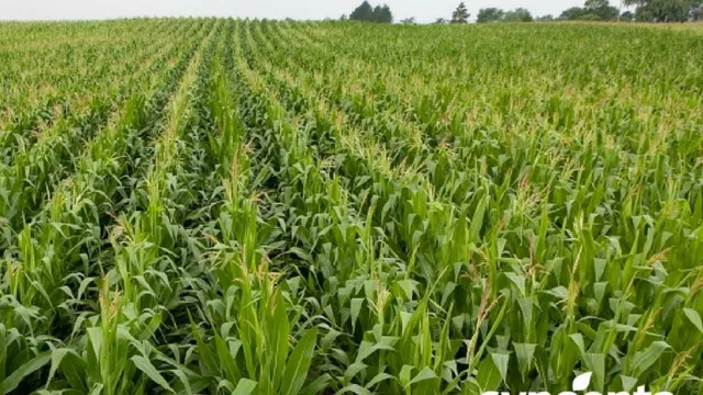 Syngenta completa la adquisición de importante firma agroindustrial