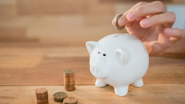 Crecimiento del sistema refleja conciencia de ahorro