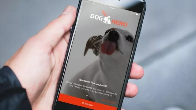 DogHero, la empresa de hospedaje para mascotas que quiere expandirse por Latam 