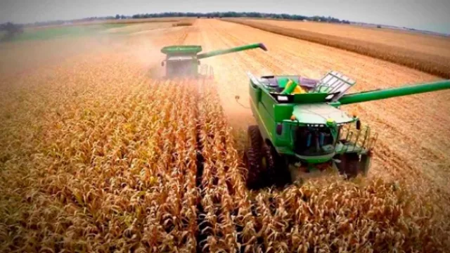 Molienda 2017: un año complejo para el sector