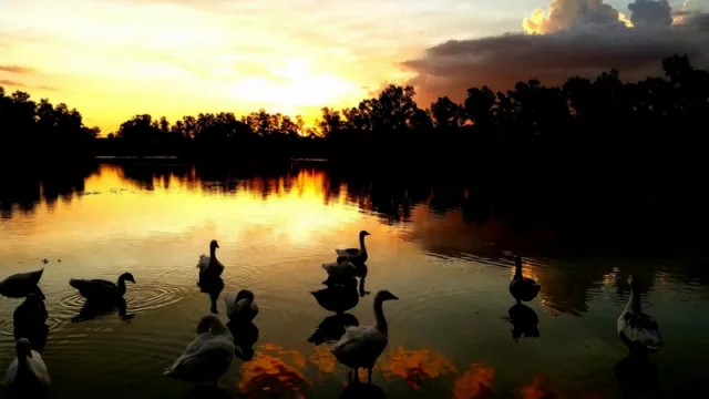 Atardecer en el parque Ñu Guasu, por Ruth Estigarribia. Fotografía finalista.