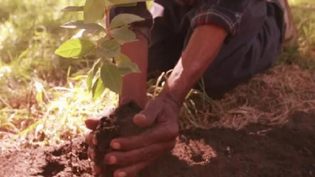 Itaú invita a reflexionar sobre nuestra relación con el futuro (en su campaña de Fin de Año)