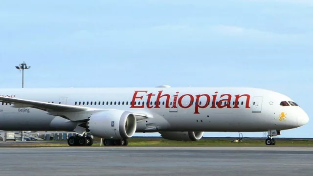 Cinco vuelos por semana unirán Etiopía con Argentina
