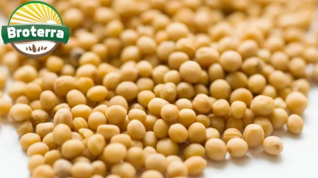 Semillas de chia, lino, amaranto, quinoa son algunos de los smartfoods que la empresa industrializa.