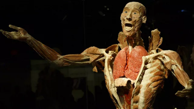 Los cuerpos del “Dr. Muerte” (Gunther von Hagens) llegaron a Montevideo