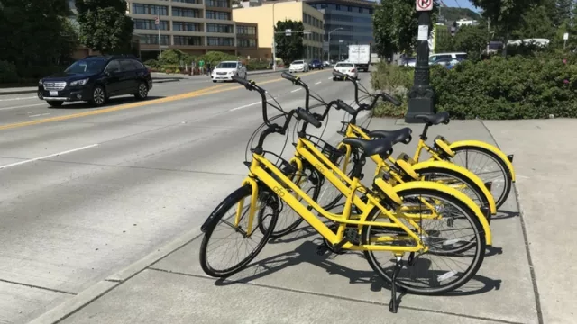 La compañía de bicicletas compartidas, Ofo, continúa su expansión por EE.UU