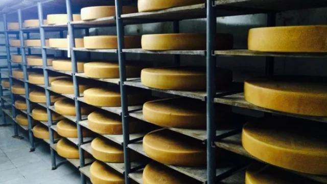 Quesos suizos Made in Paraguay