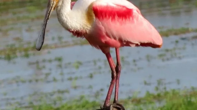 Paraguay promueve el turismo responsable en el mes del turismo