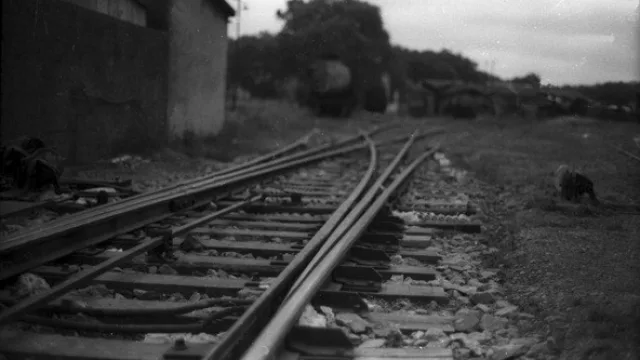 Un gigante chino busca invertir más de US$1.000 M en Uruguay