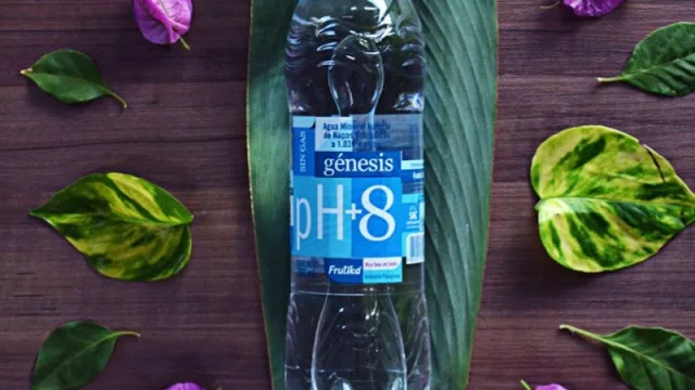 Génesis se posiciona entre las mejores aguas del mundo