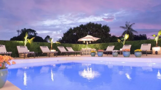 Ecco Paraguay, el negocio de las plantas artificiales en Paraguay