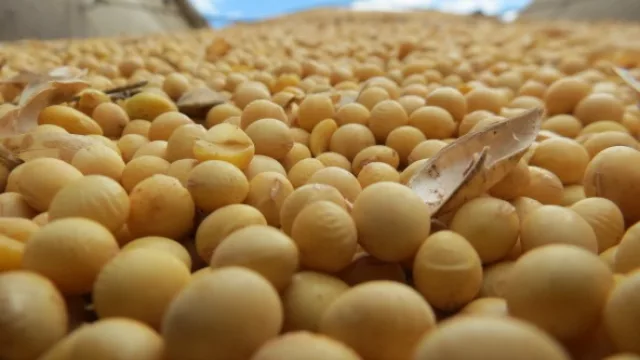 El sector sojero movilizó USD 2.289 millones en 7 meses