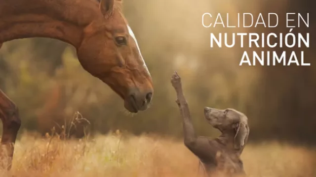 Remiplat, con su marca de alimentos para pequeños y grandes animales, quiere seguir creciendo