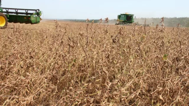 Las exportaciones presentan balance positivo en el 1° semestre del año