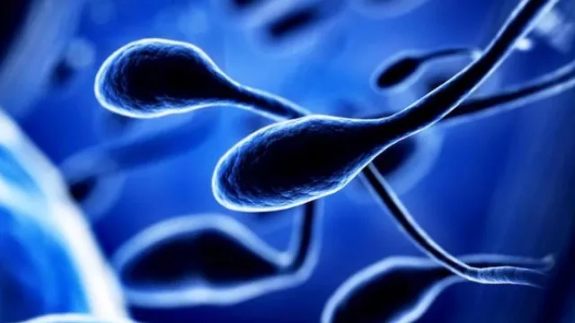 “Urgente alerta” para la salud masculina conforme cae el conteo de espermatozoides