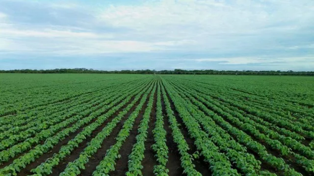 ADM presenta charla sobre el “futuro del mercado agrícola”