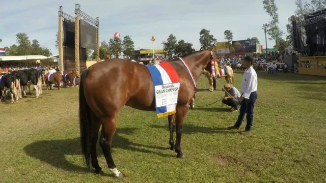 Organizadores consideran que la Expo 2017 fue todo un éxito