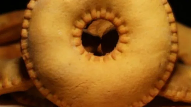 Chipanada: la marca que fusiona dos alimentos tradicionales del Paraguay