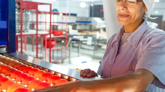 Las Tacuaras invirtió G. 850.485.646 en acciones de Responsabilidad Social Empresarial durante 2016