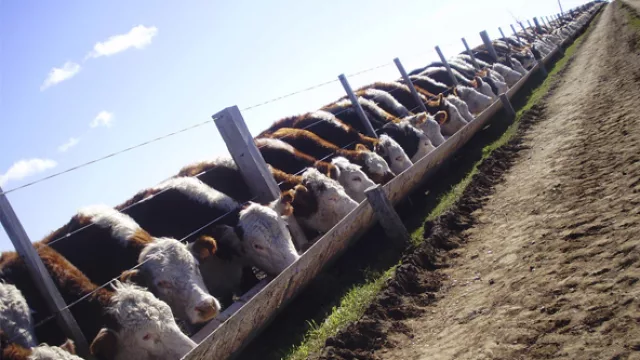 El sector agropecuario en Paraguay es 8,5 veces más rentable que en Uruguay